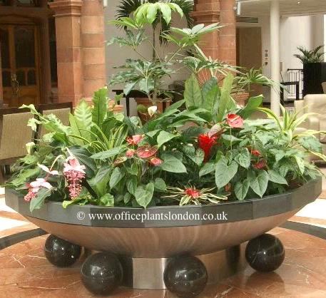 Plants in a custom built planter in a London Hotel